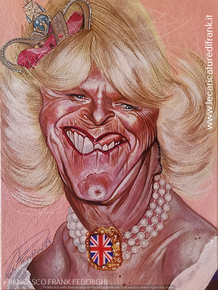 New Queen Camilla New Queen Camilla