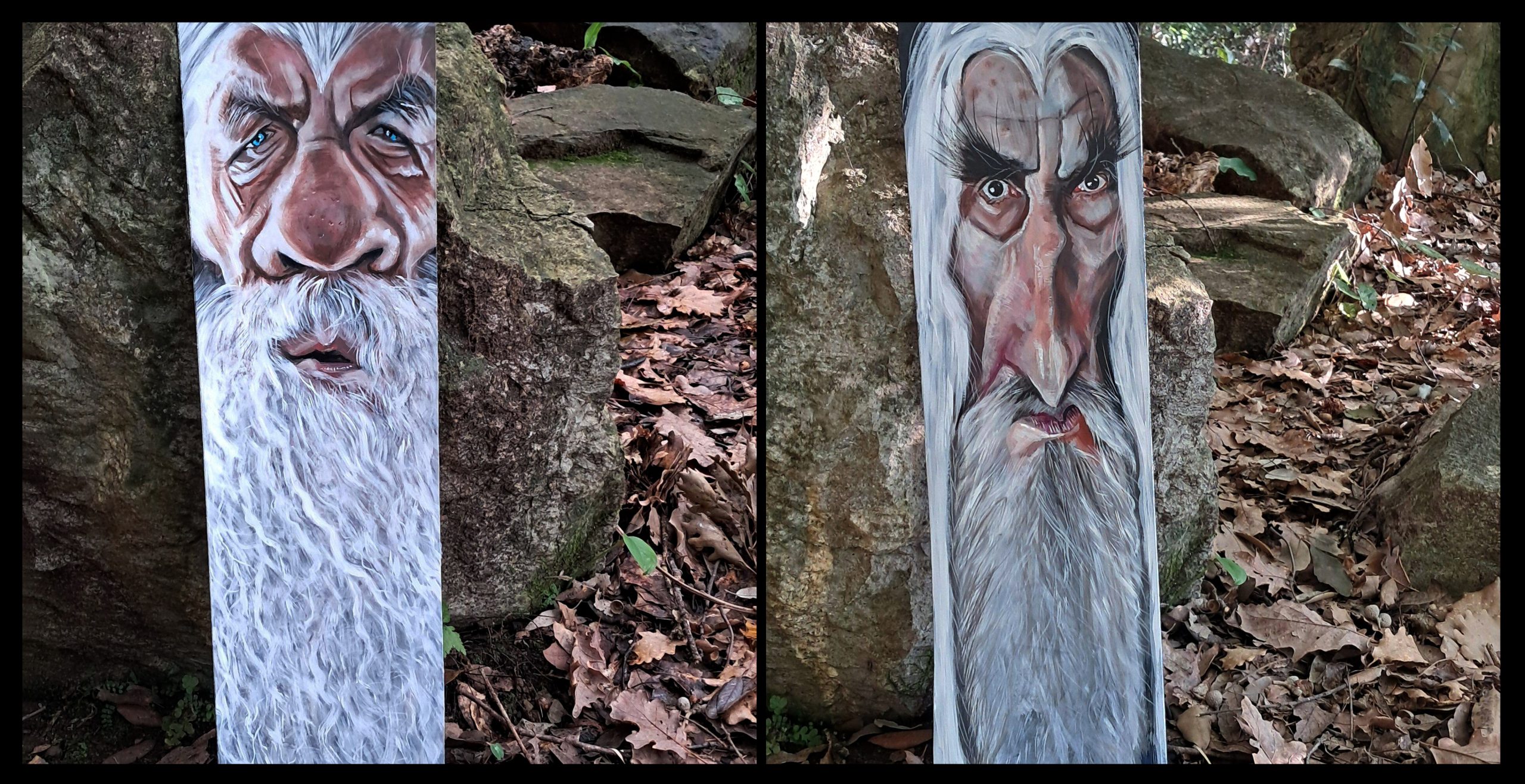 Saruman and Gandalf in the woods Saruman e Gandalf nel bosco